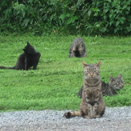 Lyhdyn Tila Hotel 3*