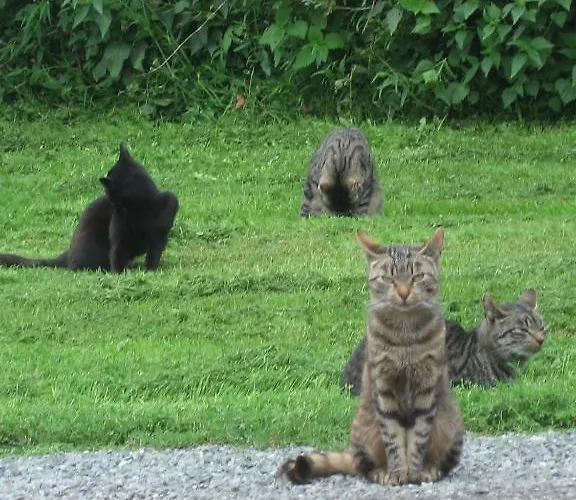 Lyhdyn Tila Hotelli 3*